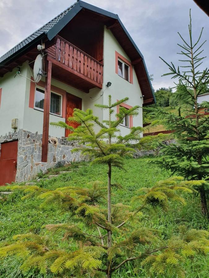 Casa Dor De Ea Villa Dâmbovicioara Exterior photo
