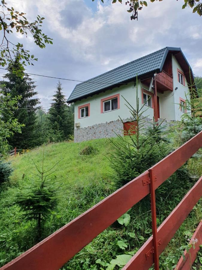 Casa Dor De Ea Villa Dâmbovicioara Exterior photo